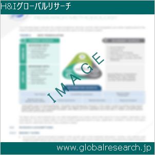 グローバルリサーチ調査レポートのイメージ